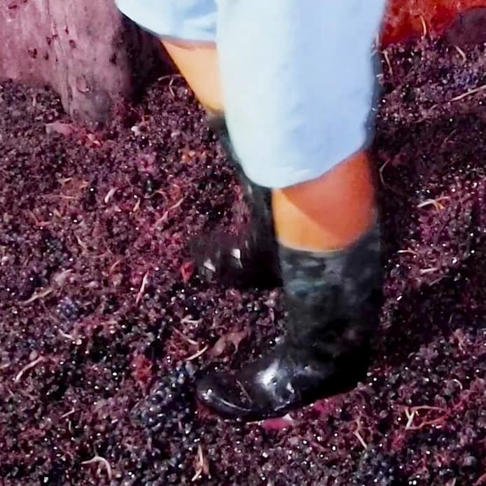 ¿Cómo lo haccemos? Elaboración artesanal vino de Rioja en bodegas enbrion, pisado de la uva